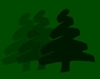 Weihnachtsbaum Paradies Weihnachtsbaum Paradies