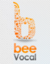 VOCAL PARK LIMITED VOCAL PARK LIMITED