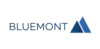 Bluemontt Consulting GmbH Bluemontt Consulting GmbH