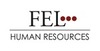 FEL GmbH FEL GmbH