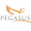 Pegasus Consultancy Pegasus Consultancy