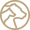 Agentur WolfsPress Agentur WolfsPress