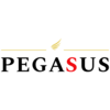 PEGASUS PEG Service PEGASUS PEG Service