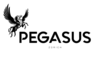 Pegasus Zürich Pegasus Zürich