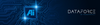 DataForce by TransPerfect DataForce by TransPerfect