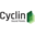 Cyclin BV Cyclin BV